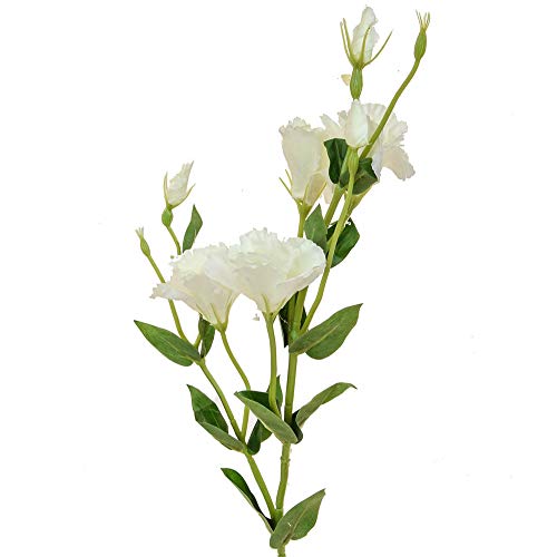 FloristryWarehouse Eustoma or Lisianthus Blanco Stiel, künstlich, 80 cm, Weiß von Floristrywarehouse