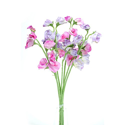 FloristryWarehouse Künstliche Seide Sweetpea Pink & Lila Stiele Blumen 40 cm von Floristrywarehouse