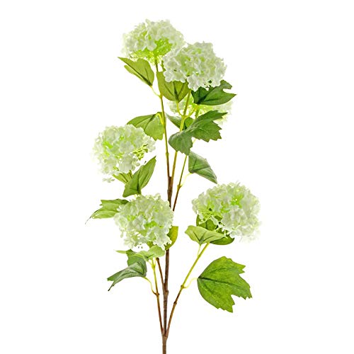 FloristryWarehouse Künstlicher Schneeball Viburnum, 96 cm, 6 Köpfe, cremefarben von Floristrywarehouse