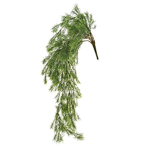 FloristryWarehouse Springeri Spargelfarn, künstlich, 61 cm von Floristrywarehouse