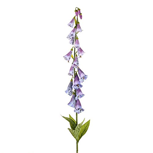 Floristrywarehouse Künstliche Fingerhut Spitze 19 Violett Köpfe 107 cm Floristrywarehouse Künstliche Fingerhut Spitze 19 Violett Köpfe 107 cm von Floristrywarehouse