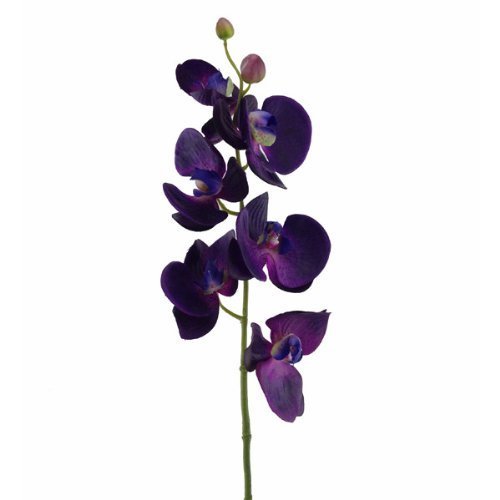 Floristrywarehouse Orchideenzweig, Kunstpflanze, seidig, Latextüberzug, 75 cm, Lila von Floristrywarehouse