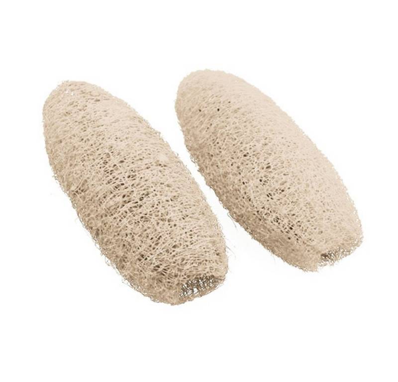 Viana Bastelmoos Gebleichte Luffa-Deko klein, Trockenschmuck für Gestecke & von Viana