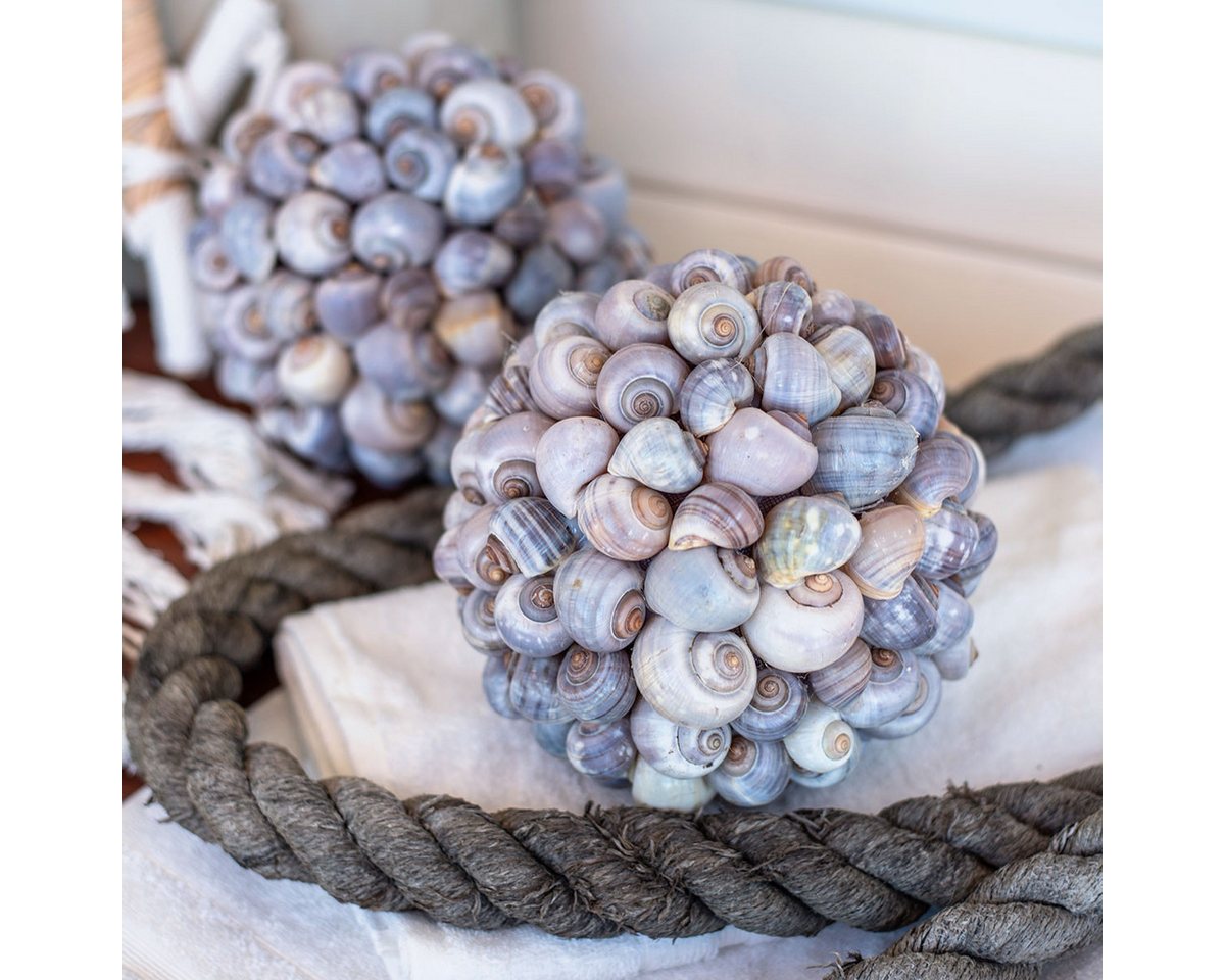 Viana Bastelnaturmaterial Dekokugel Seeschnecken Muschelkugel Naturdeko maritim Ø19cm von Viana