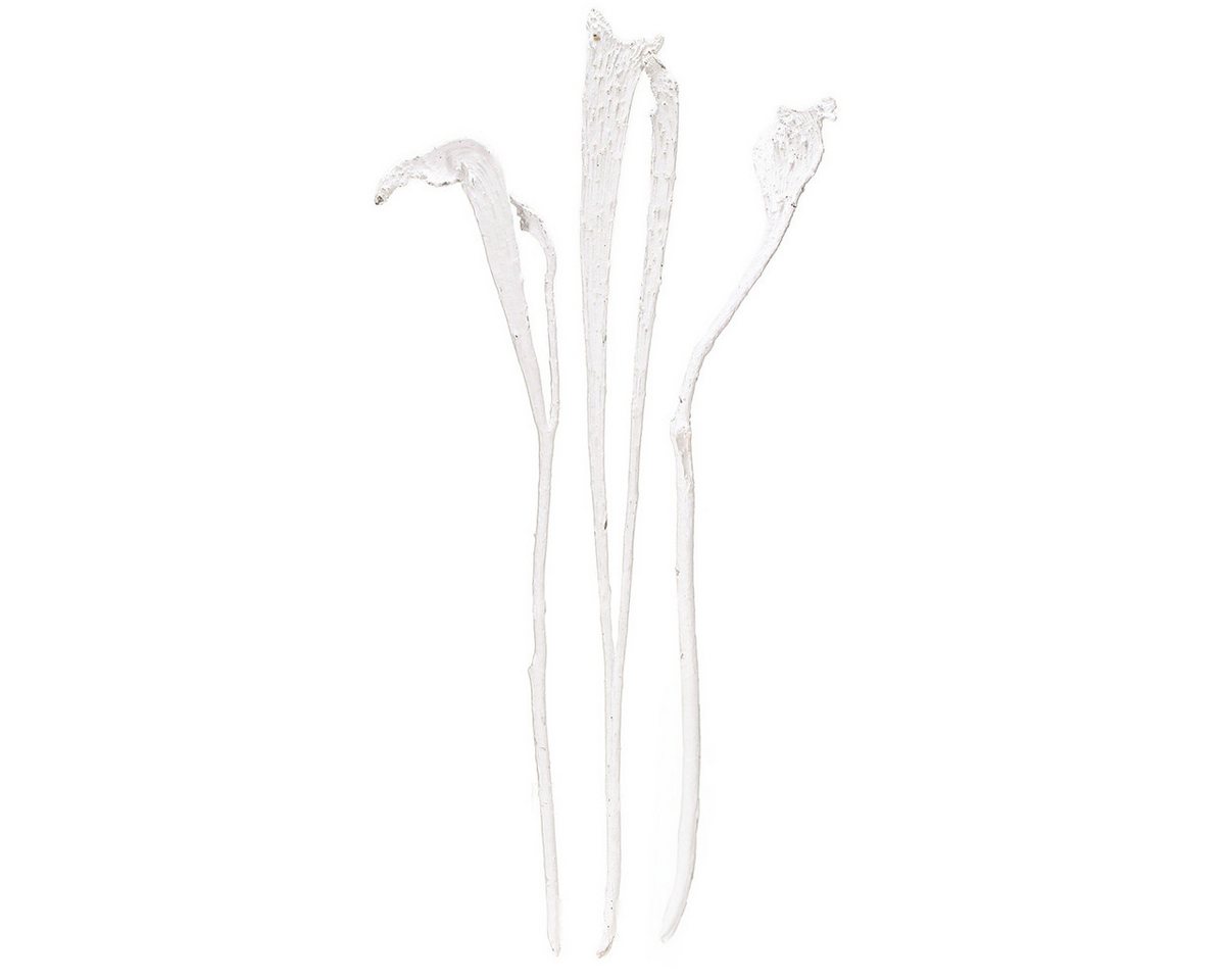 Viana Bastelnaturmaterial Natraj Geweihholz Mix gebleicht, Dekorative Trockenzweige für von Viana