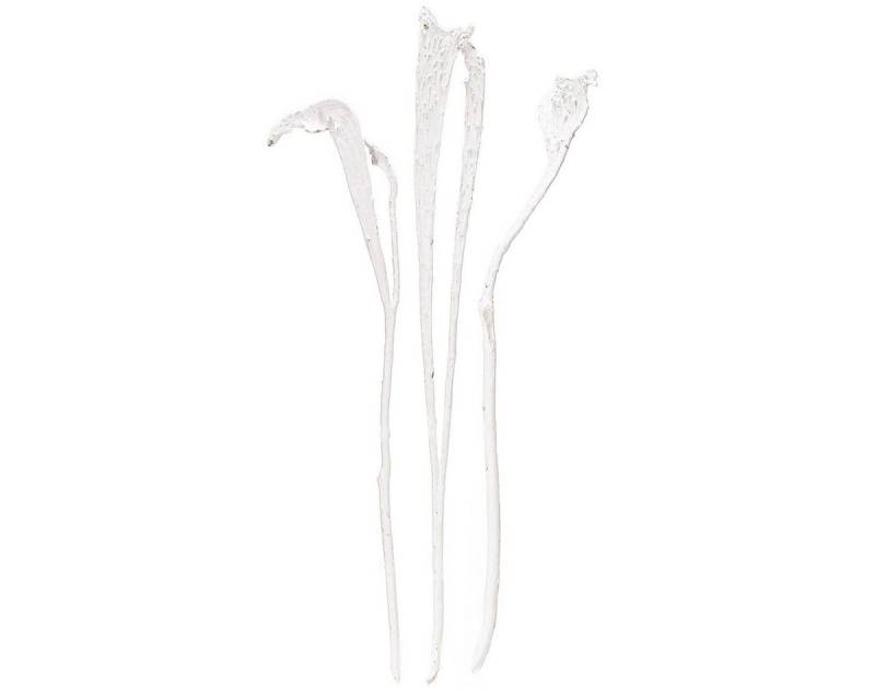 Viana Bastelnaturmaterial Natraj Geweihholz Mix gebleicht, Dekorative Trockenzweige für von Viana