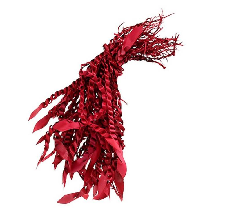 Trockenblume Gold Ranke Rot Deko-Zopf Natur 50 Stück, Viana von Viana