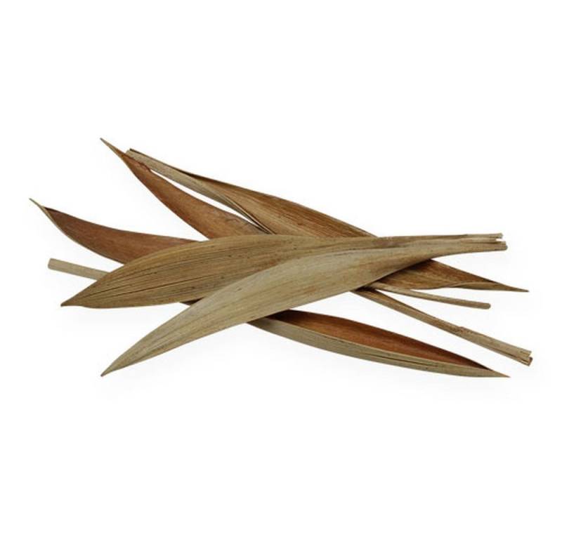 Trockenblume Kokosschale mini Natur 0,5 kg – Biologisch abbaubare Deko für, Viana von Viana
