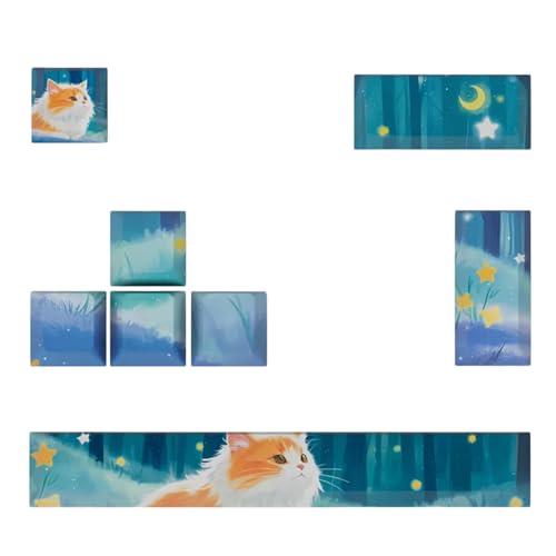 Florisync KeyCap PBTS ESC Enter 6.25U SpaceBar 5 Seitenfärben Für Mechanische Tastaturen Originalprofil von Florisync