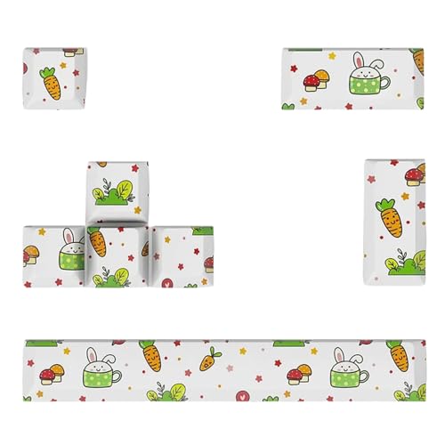 Florisync KeyCap PBTS ESC Enter 6.25U SpaceBar 5 Seitenfärben Für Mechanische Tastaturen Originalprofil von Florisync