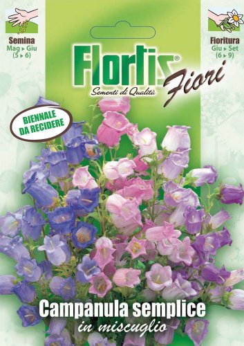 Flortis 4351033 Marien-Glockenblume Mischung (Glockenblumensamen) von Flortis
