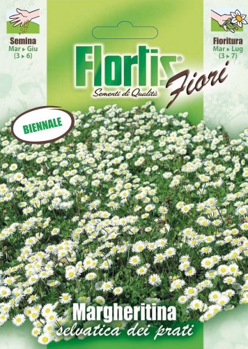 Flortis 4351114 Gänseblümchen (Gänseblümchensamen) von Flortis