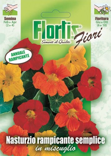 Flortis 4351130 Kletternde Kapuzinerkresse Mischung (Kapuzinerkressesamen) von Flortis