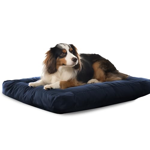 Flowen Hundekissen Kleine Hunde 60x40 Leicht Waschbar mit Abnehmbarem Bezug Hundebett Wasserdicht Anti-Biss und Anti-Kratzer Hundematte Blau in 10cm Höhe Ideal im Sommer und Winter von Flowen