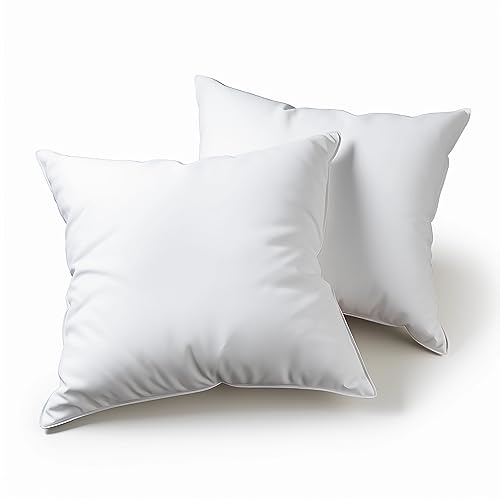 Flowen Kissen für Bett 65x65 cm Kopfkissen 2er Set Innenkissen Hypoallergene Anti-Milben Weiche Kissenfüllung mit Kissenbezug Mikrofaser Abnehmbarem und Waschbaren Schlafkissen für Haus/Hotel von Flowen