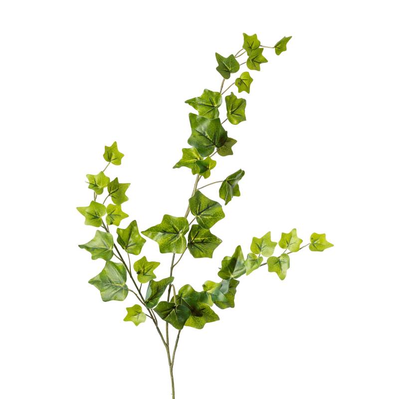 Flower Manufaktur Efeuzweig ca.65 cm 1302-883 in von Flower Manufaktur