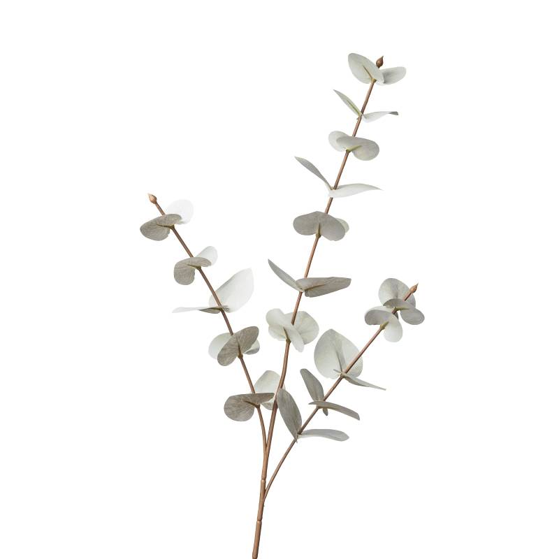 Flower Manufaktur Eukalyptuszweig ca.68 cm 9211-777 in von Flower Manufaktur
