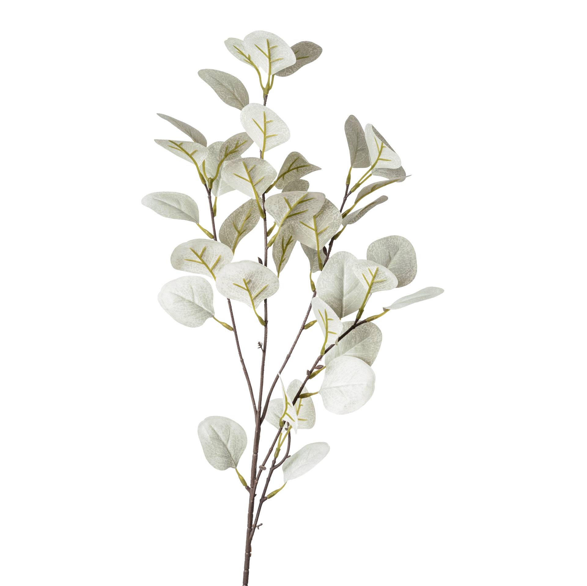 Flower Manufaktur Eukalyptuszweig ca.73 cm 1904-777 in von Flower Manufaktur