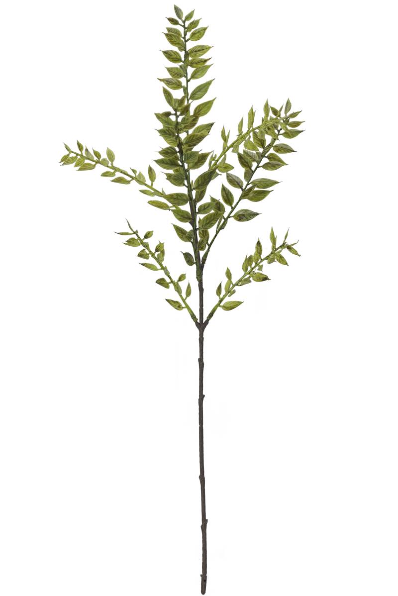 Flower Manufaktur Mini Ruscus ca.50 cm 9242-883 in von Flower Manufaktur