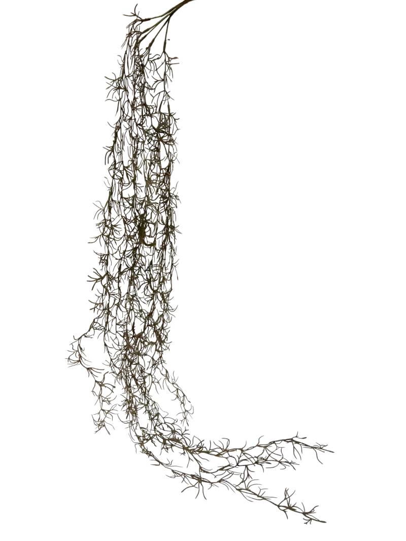 Flower Manufaktur Mooshänger ca.100 cm 1080-616 in von Flower Manufaktur