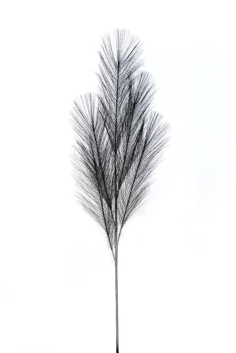 Flower Manufaktur Pampaswedel ca.68 cm 9645-999 in von Flower Manufaktur
