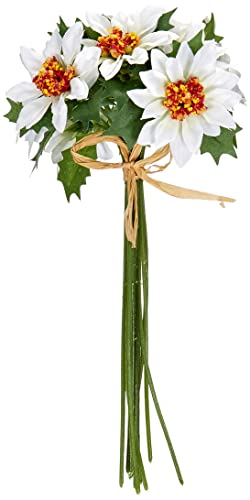 Mini Poinsettia von Flower-Power