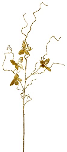 Schmetterlingszweig Schmetterlingszweig von Flower-Power