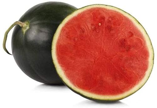 20Stücke Schwarze kernlose Wassermelone Saat Einzigartiger roter Fleischsaftfrucht Nicht GVO Erbstücksamen zum Bauernhof Garten Balkon Pflanzung von Flower field Story