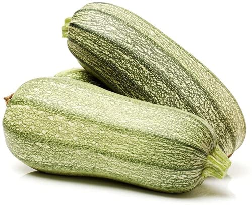 50 Stück Grüne Zucchini Samen Die Das Ganze Jahr über Essentielles Gemüse Pflanzen Offene Bestäubung Einfache Ernte Geeignete Gartenfarmen von Flower field Story