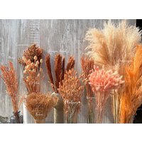 Trockenblumen Apricot Orange Terracotta Getrocknete Blumen Frühling Phalaris Weizen Lagurus Hafer Broom Diy Geschenk Boho Deko Hochzeit Trockenblumen Apricot Orange Terracotta Getrocknete Blumen Frühling Phalaris Weizen Lagurus Hafer Broom Diy Geschenk Boho Deko Hochzeit von Flowerado