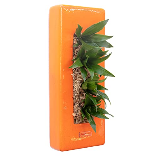 Flowerbox Box 40 - orange - 40x16 cm Flowerbox Box 40 - orange - 40x16 cm von Flowerbox
