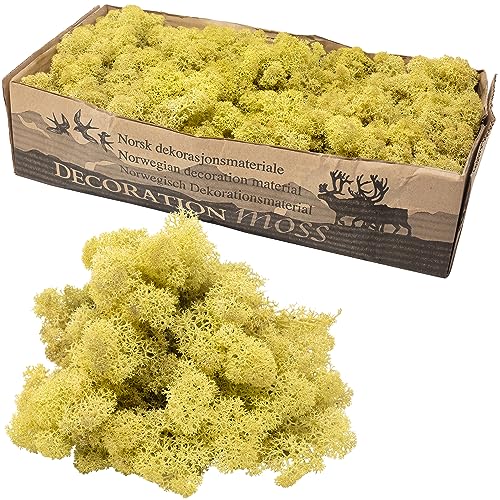 Flowerbox Karton Islandmoos Altgrün 500g Flowerbox Karton Islandmoos Altgrün 500g von Flowerbox
