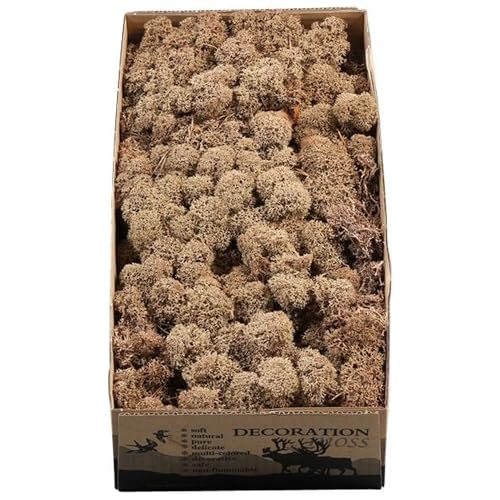 Flowerbox Karton Islandmoos Braun - 500g Flowerbox Karton Islandmoos Braun - 500g von Flowerbox