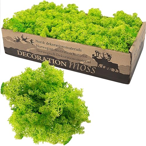 Flowerbox Karton Islandmoos Helles Grasgrün 500g von Flowerbox