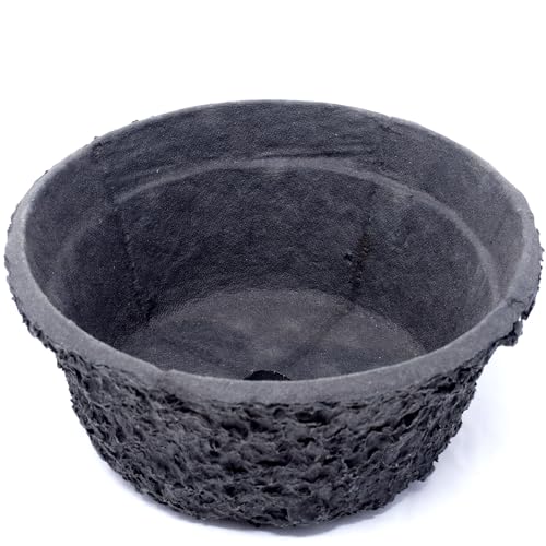 Flowerbox Oasis® Black BIOLIT® Pflanzschale - Ø 17 cm von Flowerbox