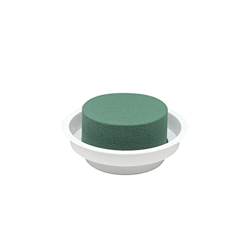 Flowerbox Oasis Steckschaum Junior Complete Ø12cm Steckmasse Steckschwamm - 12 Stück - weiß von Flowerbox