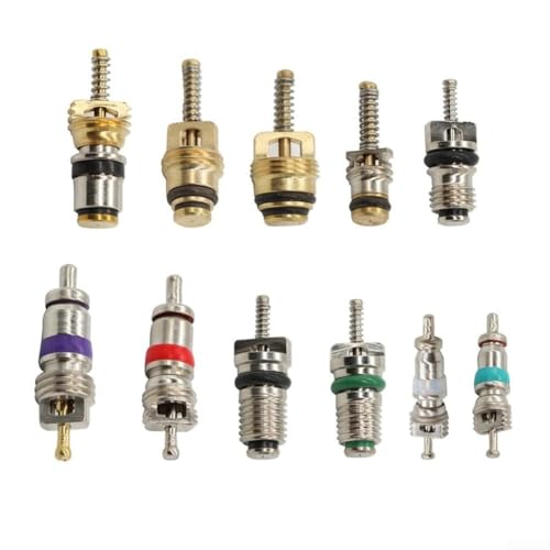 102-teiliges Auto-Klimaanlagen-Reifenventil-Reparatur-Werkzeug-Set für R12- und R134a-Systeme, inklusive 100 Ventilkernen und 2 Doppelfunktionswerkzeugen in tragbarer Aufbewahrungsbox 102-teiliges Auto-Klimaanlagen-Reifenventil-Reparatur-Werkzeug-Set für R12- und R134a-Systeme, inklusive 100 Ventilkernen und 2 Doppelfunktionswerkzeugen in tragbarer Aufbewahrungsbox von Floweringbeter