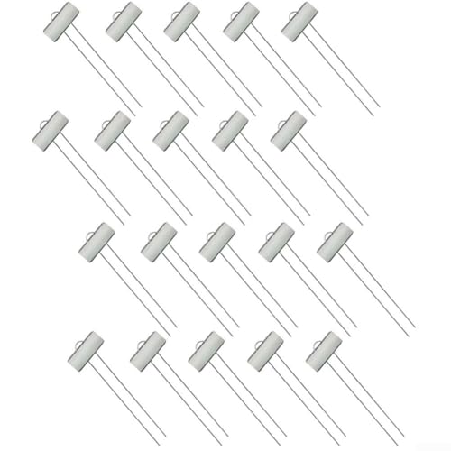 20 Pflanzenmarker aus Edelstahl und Eisen mit verzinktem Draht für wetterfeste Beschriftung und zur einfachen Identifizierung von Kräutern, Blumen und Gemüse im Garten (Silber) von Floweringbeter