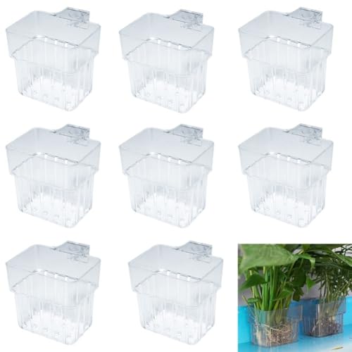 Aquarium-Pflanzenhalter mit Haken zum Aufhängen von Wasserpflanzen in Aquarien, transparent, 8 Stück Aquarium-Pflanzenhalter mit Haken zum Aufhängen von Wasserpflanzen in Aquarien, transparent, 8 Stück von Floweringbeter