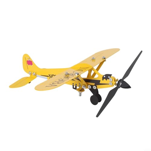 Flugzeug-Windrichtung, handgefertigt, Metall, Wetterfahne für den Außenbereich Flugzeug-Windrichtung, handgefertigt, Metall, Wetterfahne für den Außenbereich von Floweringbeter