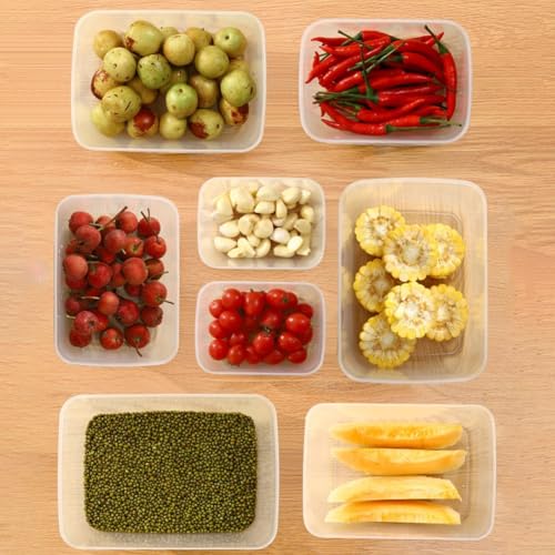 Küchen-Organizer, große Kühlschrank-Aufbewahrungsbox mit verschließbaren Deckeln für frische Lebensmittel (M 2000 ml) von Floweringbeter