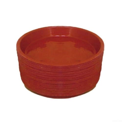Robuste Kunststoff-Wasserschalen für Topfpflanzen, 10 Stück Untersetzer Essentials (PB140 13,9 cm) von Floweringbeter