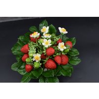 Erdbeeren Im Blumentopf Kalte Porzellan Rote Beeren Der Walderdbeere Tonblumen Keramik Floristik Beerendekor von FlowersPorcelainArt