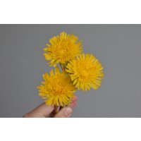 Handgemachte Kalte Porzellan Pusteblume Gelb Frühling Blumenarrangement Handgemachte Kalte Porzellan Pusteblume Gelb Frühling Blumenarrangement von FlowersPorcelainArt