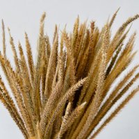Ein Strauß Gut Erhaltener Trockenblumen Ist Eine Großartige Ergänzung Zu Ihrem Diy-Bouquet von FlowerwoodSupply