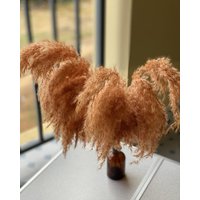 Extra Flauschiges Rostfarbenes Pampasgras | 55 cm Naturfarbe Getrocknete Blumen Braunes Pampasstrauß von FlowerwoodSupply