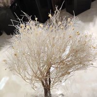Konservierte Trockenblumen Set | Echter Schleierkraut Blumenstrauß Blumen Element Diy Kranz Home Wedding Decor Getrocknete Bouquet von FlowerwoodSupply