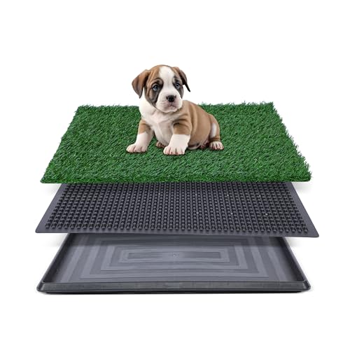 Kunstrasen für Hundetöpfchen – 40,6 x 50,8 cm, Starke Saugfähigkeit, Hundegras-Pad mit Tablett, Hundetöpfchentrainingspad, Hundetoilette mit Gras (40,6 x 50,8 cm) von FluffyDream