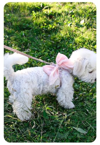 Geschirr und Leine im Prinzessinnen-Stil für kleine Hunde und Katzen, weiches, atmungsaktives Netzgewebe mit Schleife und Rüschenbesatz, verstellbarer Brustgurt, leicht und ausbruchsicher, Rosa Geschirr und Leine im Prinzessinnen-Stil für kleine Hunde und Katzen, weiches, atmungsaktives Netzgewebe mit Schleife und Rüschenbesatz, verstellbarer Brustgurt, leicht und ausbruchsicher, Rosa von FluffyFavPets