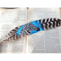 Bemaltes Federzebra von Flutterbyefeathers